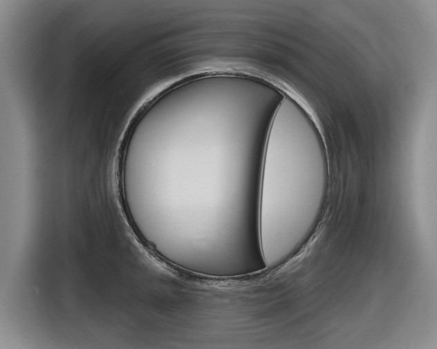 X0000116571045200912100959