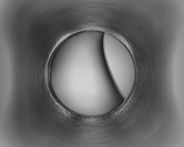X0000116571048200912100959