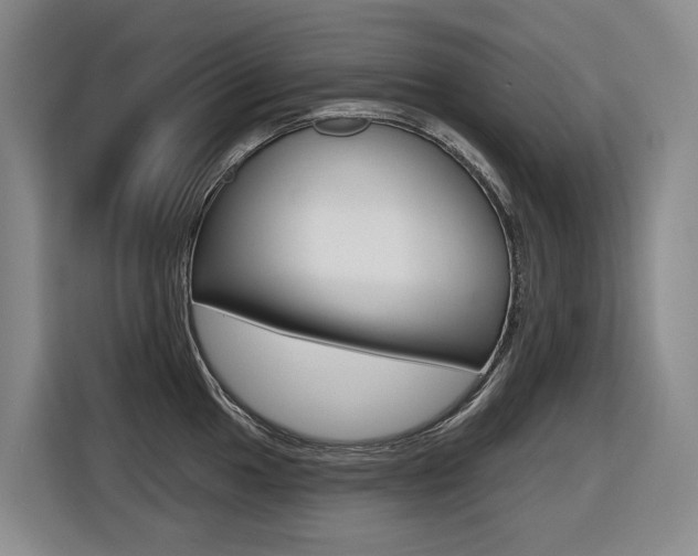 X0000116571049200912100959