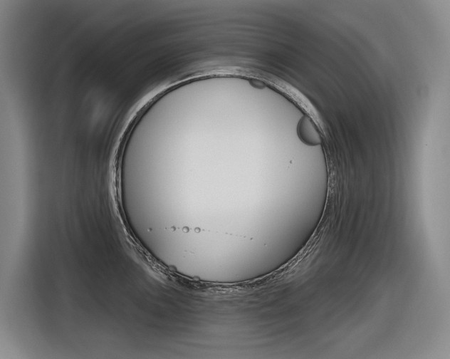 X0000116571051200912100959