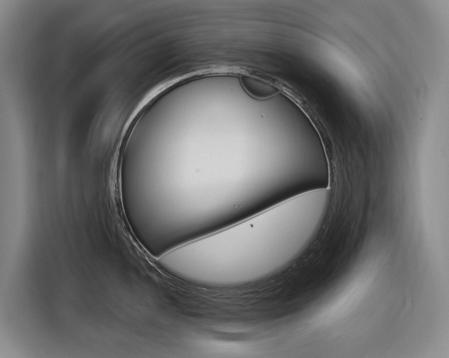 X0000116571052200912100959