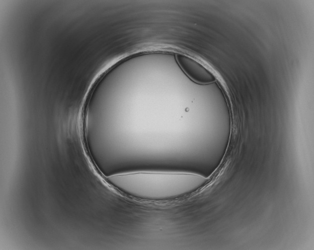 X0000116571053200912100959