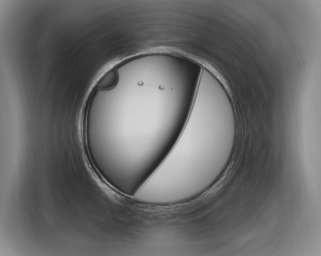X0000116571054200912100959
