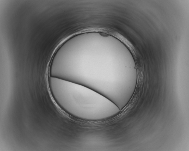 X0000116571055200912100959