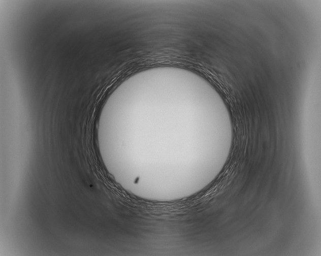 X0000116571057200912100959