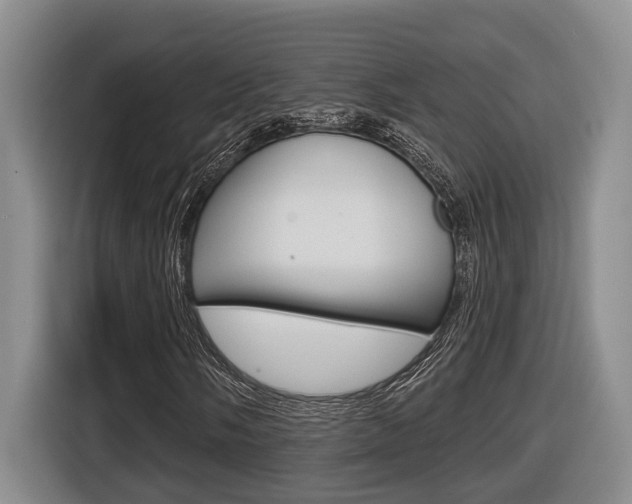X0000116571058200912100959