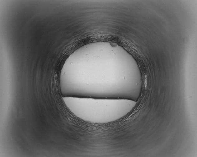 X0000116571059200912100959