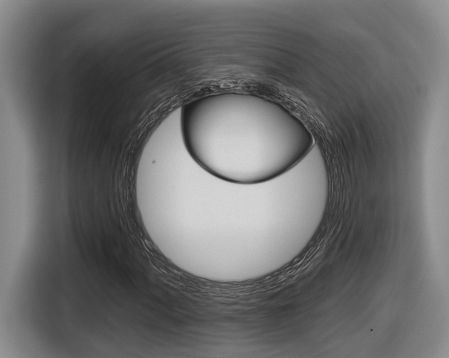 X0000116571060200912100959