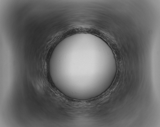 X0000116571061200912100959
