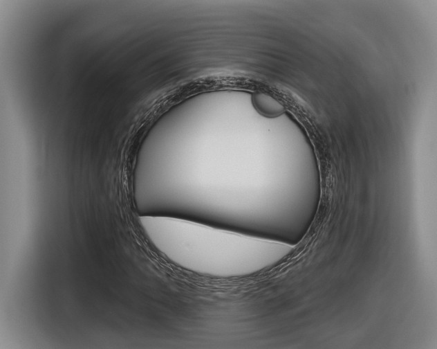 X0000116571062200912100959