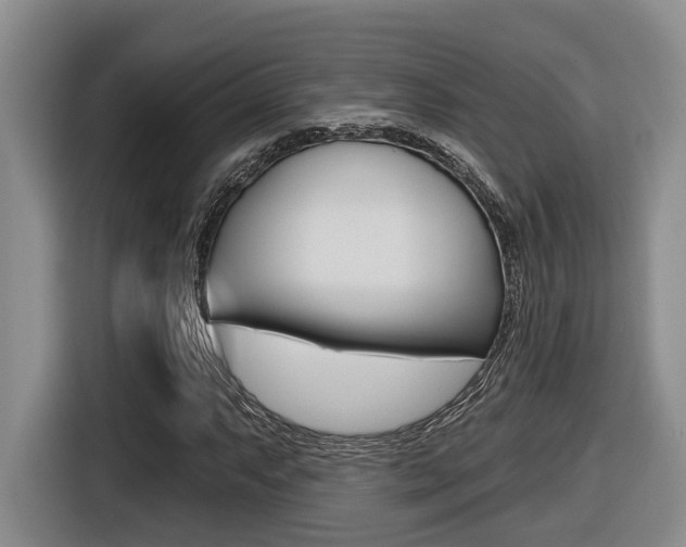 X0000116571063200912100959