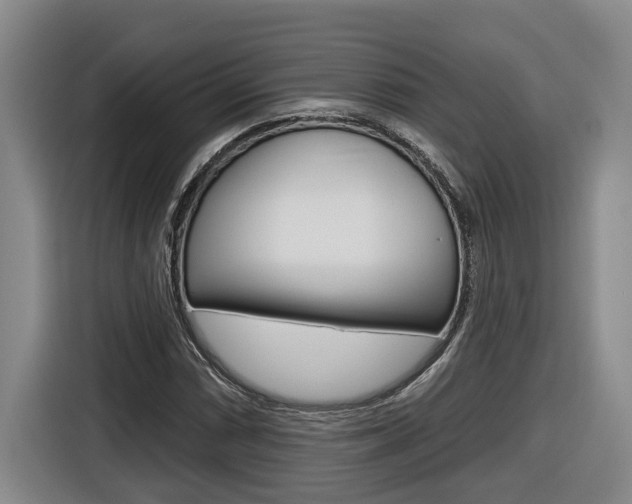X0000116571066200912100959