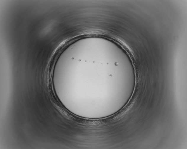 X0000116571067200912100959