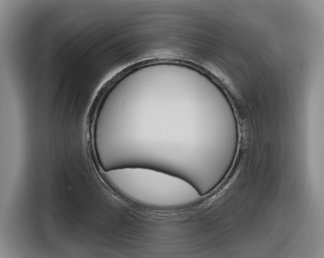X0000116571070200912100959