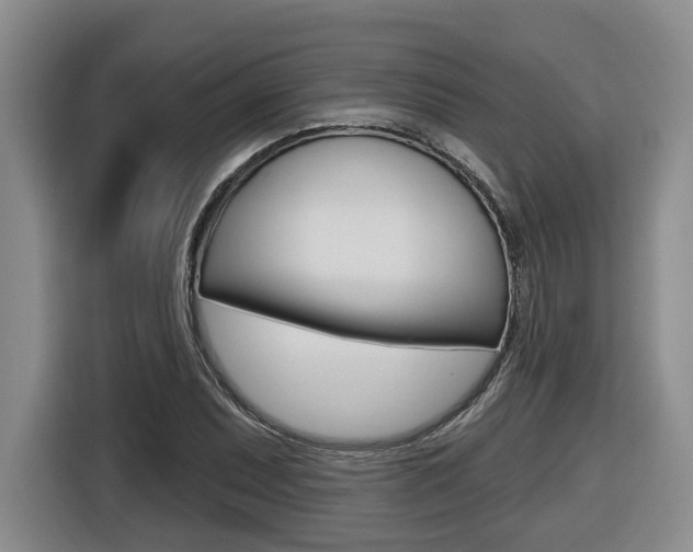 X0000116571071200912100959