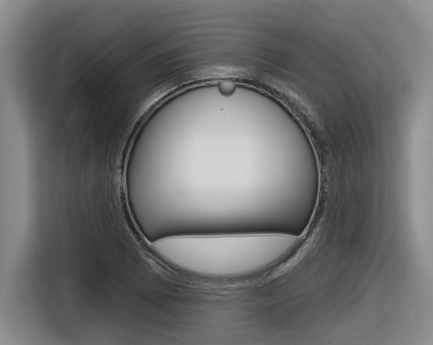 X0000116571073200912100959