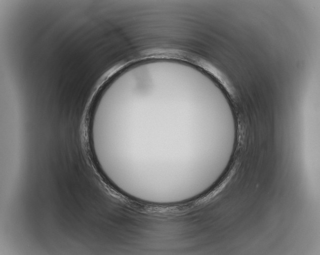 X0000116571074200912100959