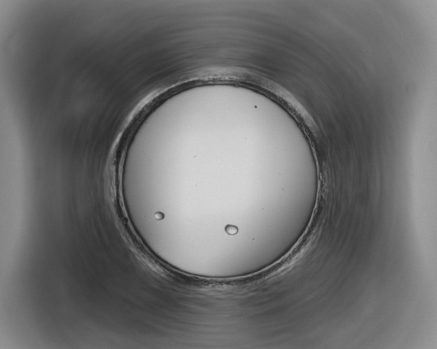X0000116571075200912100959