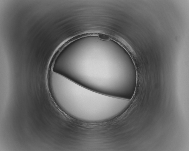 X0000116571076200912100959