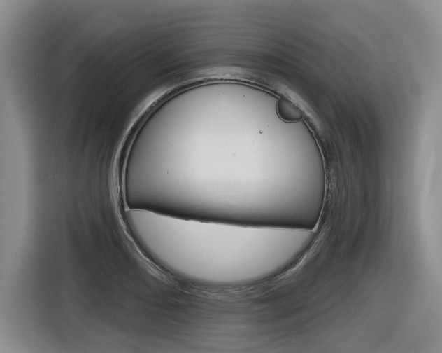 X0000116571082200912100958