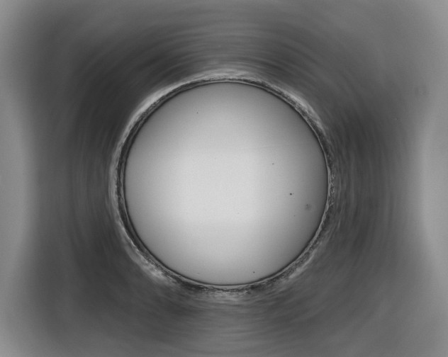 X0000116571086200912100958