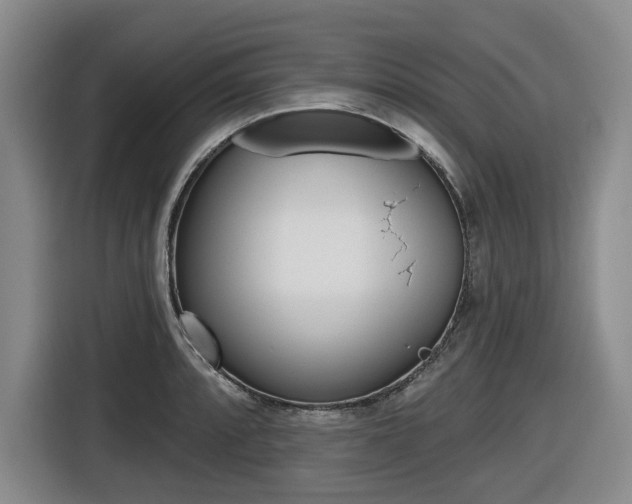 X0000116571088200912100958
