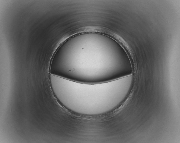 X0000116571089200912100958