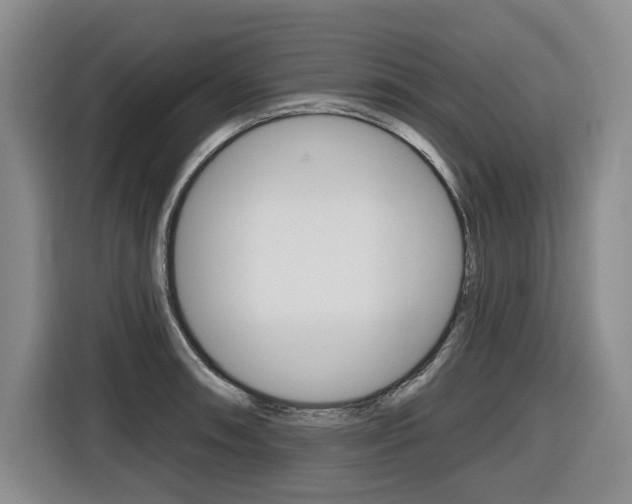 X0000116571090200912100958