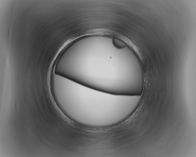 X0000116571091200912100958