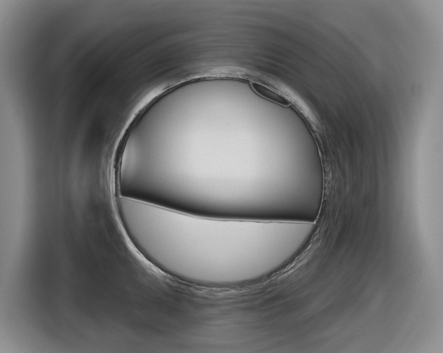 X0000116571095200912100958