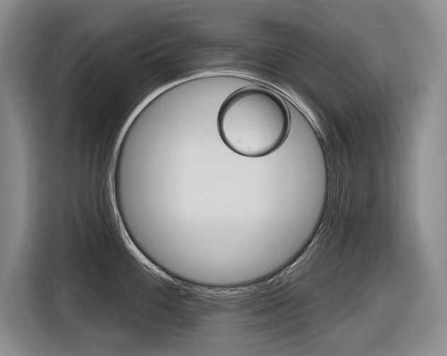 X0000116571100200912100958