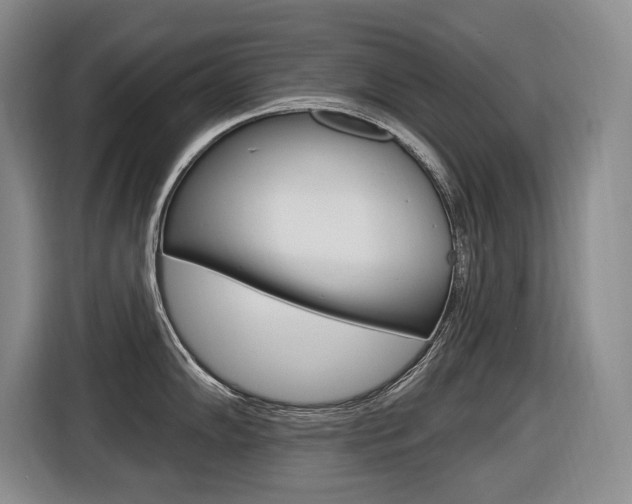 X0000116571102200912100958