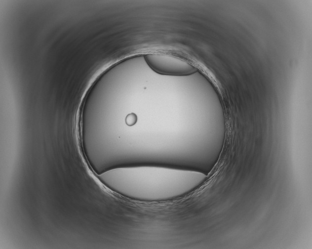X0000116571103200912100958