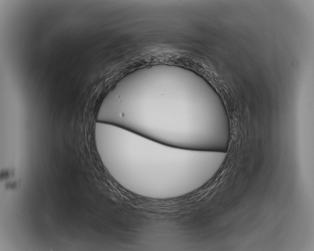 X0000116571109200912100958
