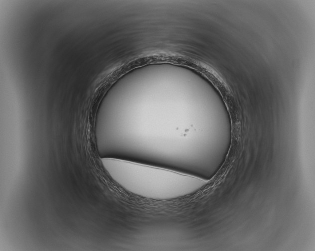 X0000116571111200912100958