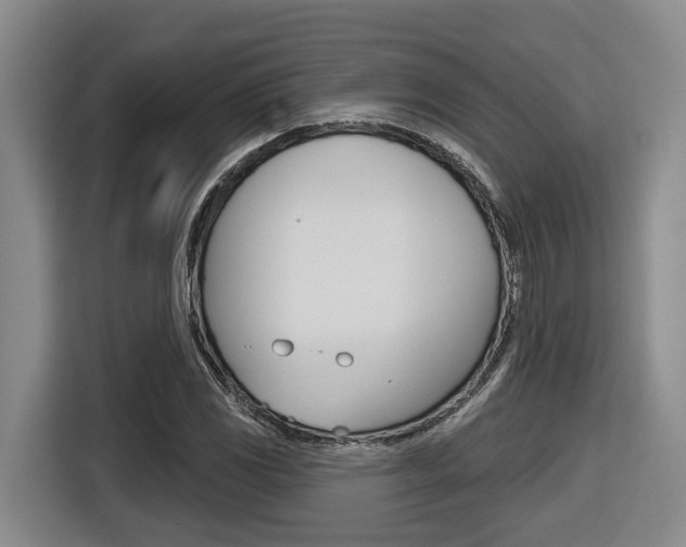 X0000116571117200912100958