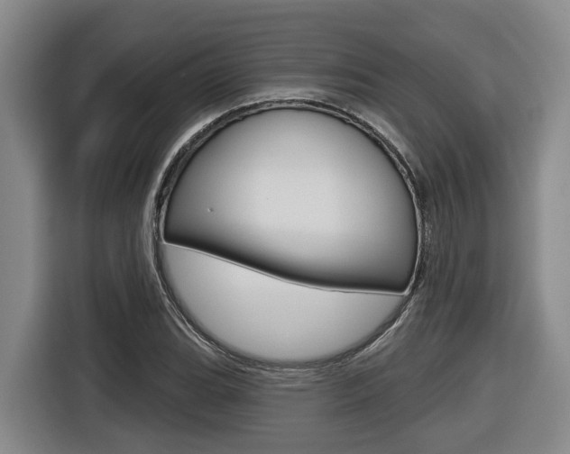 X0000116571119200912100958