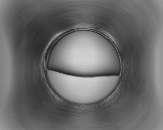 X0000116571123200912100958