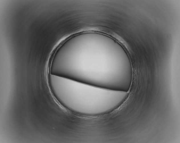 X0000116571127200912100958