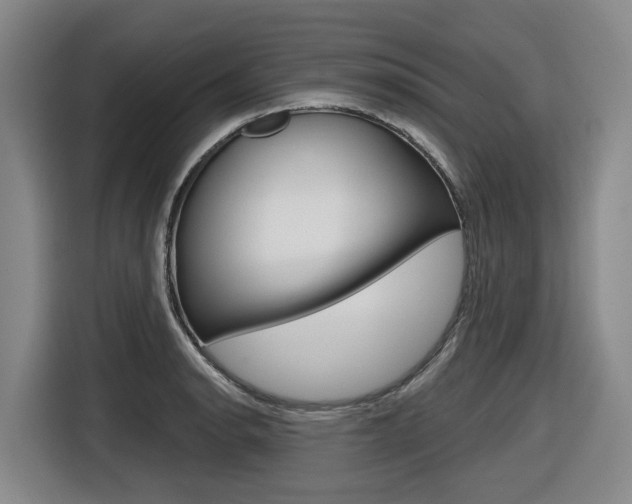 X0000116571134200912100958