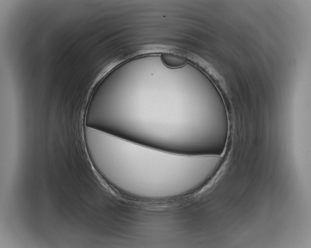 X0000116571137200912100958
