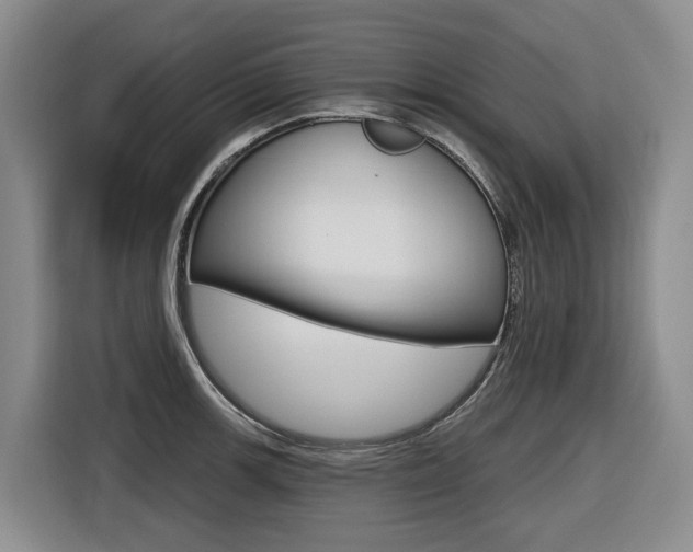 X0000116571139200912100958