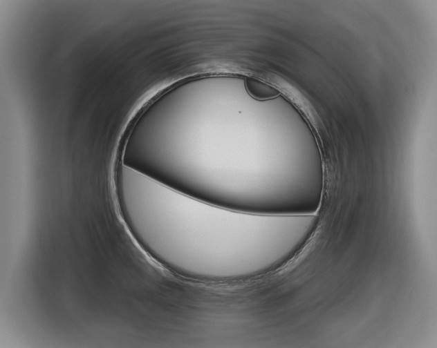 X0000116571141200912100958
