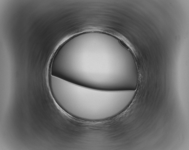 X0000116571143200912100958