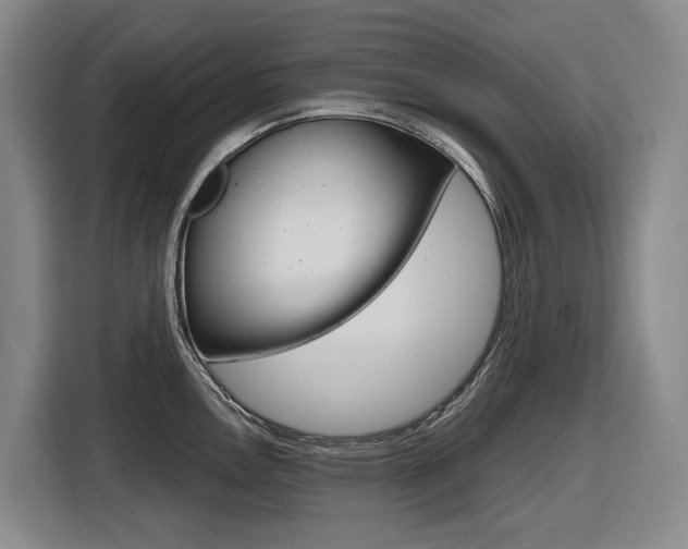 X0000116571146200912100958