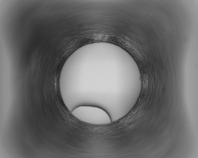 X0000116571154200912100958