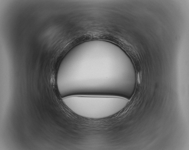 X0000116571155200912100958