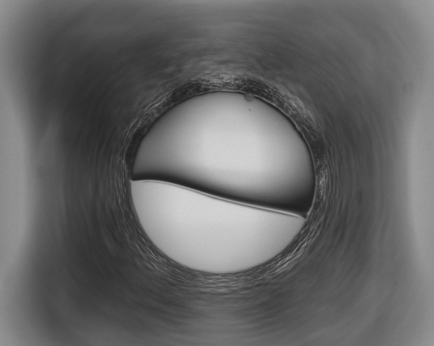 X0000116571156200912100958