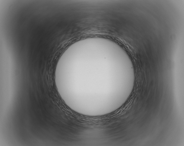 X0000116571157200912100958