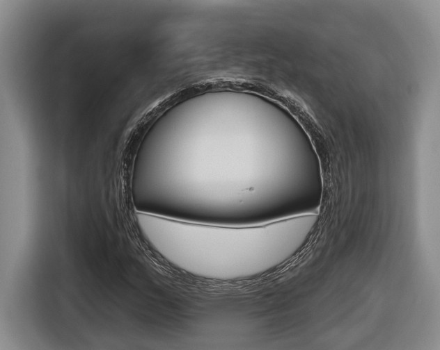 X0000116571159200912100957